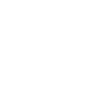 Lightning Icon