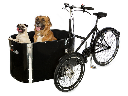 front cargo bike