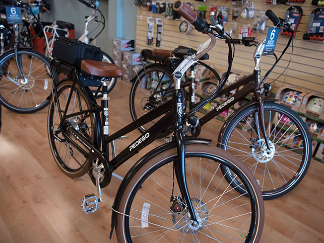 Pedego Bikes in Practical Cycle Store