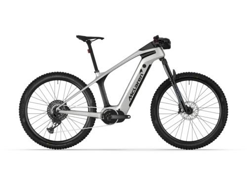 Sport 250 Electric Mountain Bike