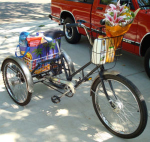 original trike used by practical cycle owner Tim